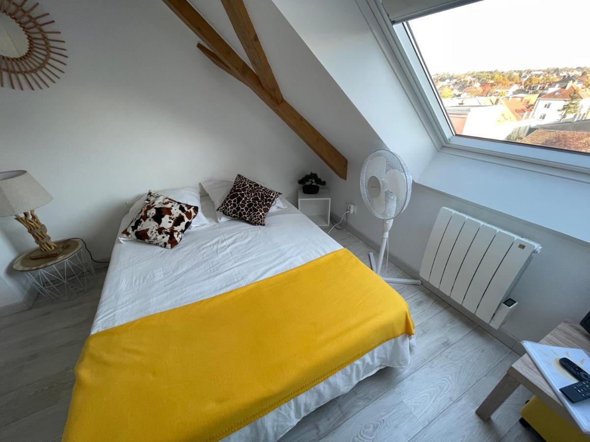 Esprit Jaune - Cosy Studio Salengro - Sauna & Sport Club Mulhouse Eksteriør bilde